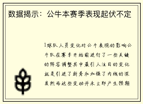 数据揭示：公牛本赛季表现起伏不定