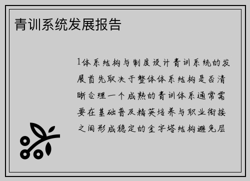 青训系统发展报告